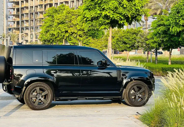 Land Rover Defender (2)